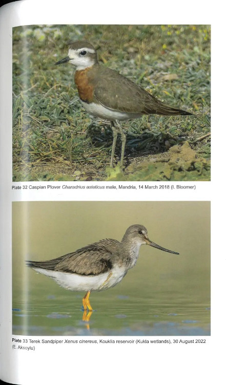 THE BIRDS OF CYPRUS. AN ANNOTATED CHECKLIST 3