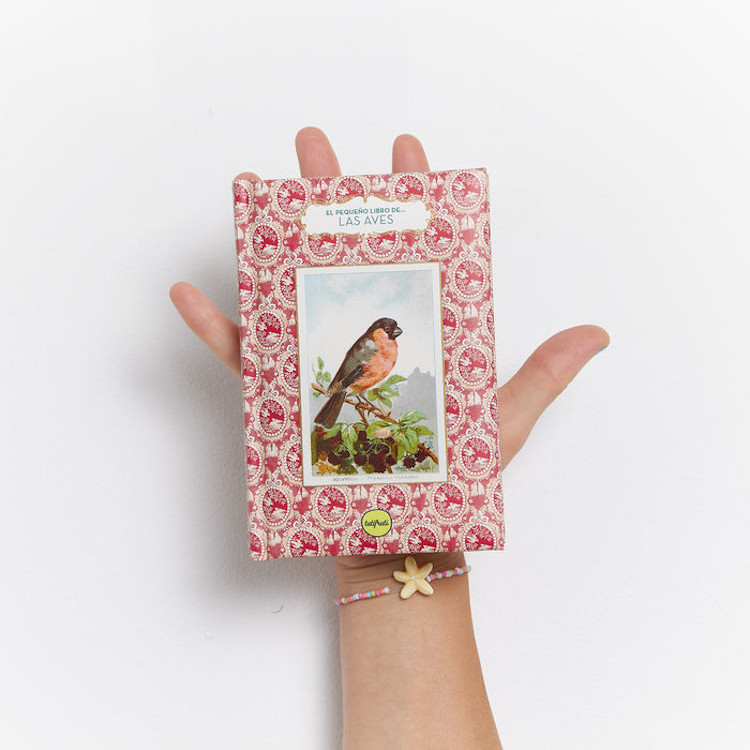 EL PEQUEÑO LIBRO DE LAS AVES 3
