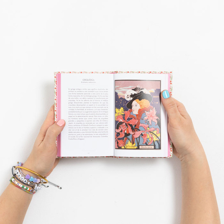EL PEQUEÑO LIBRO DEL LENGUAJE DE LAS FLORES 2