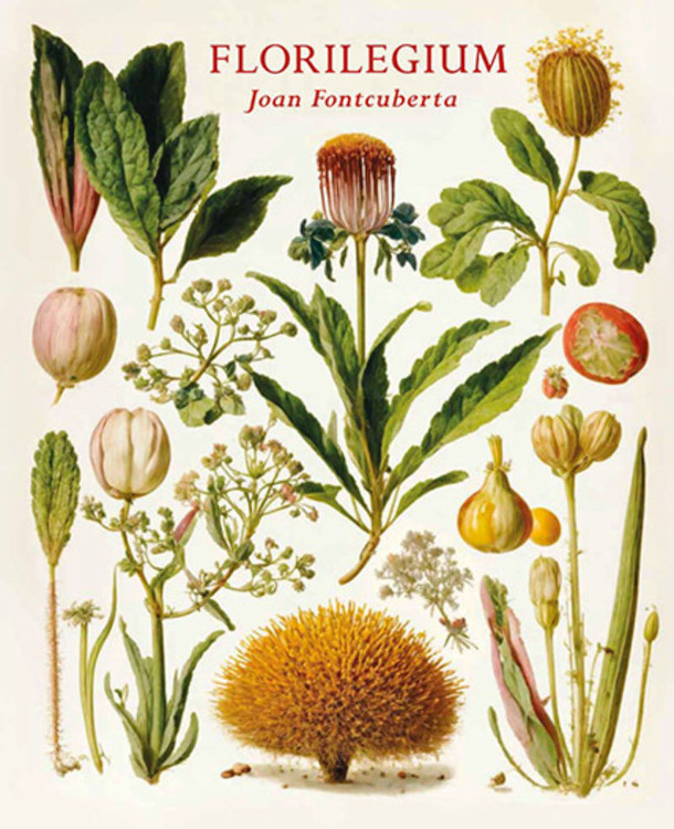 FLORILEGIUM JOAN FONTCUBERTA