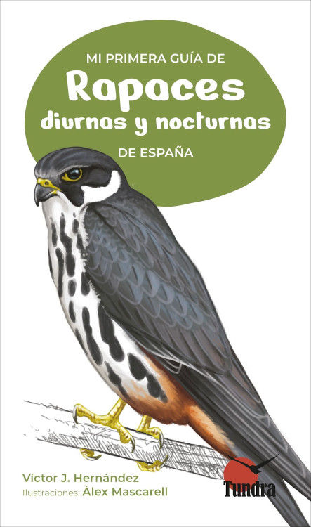 MI PRIMERA GUÍA DE RAPACES DIURNAS Y NOCTURNAS DE ESPAÑA 1