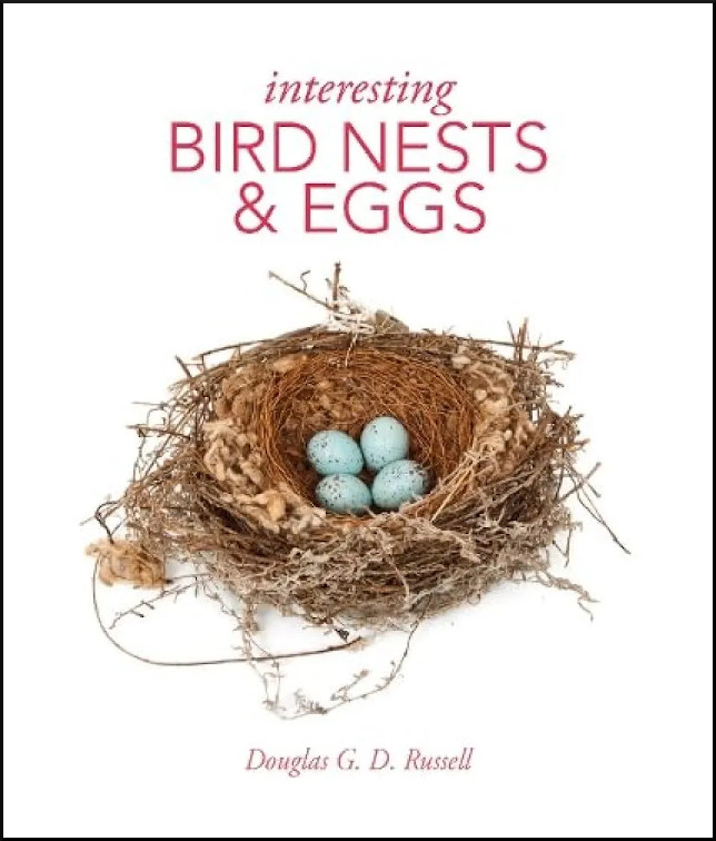 INTERESTING BIRD NESTS AND EGGS