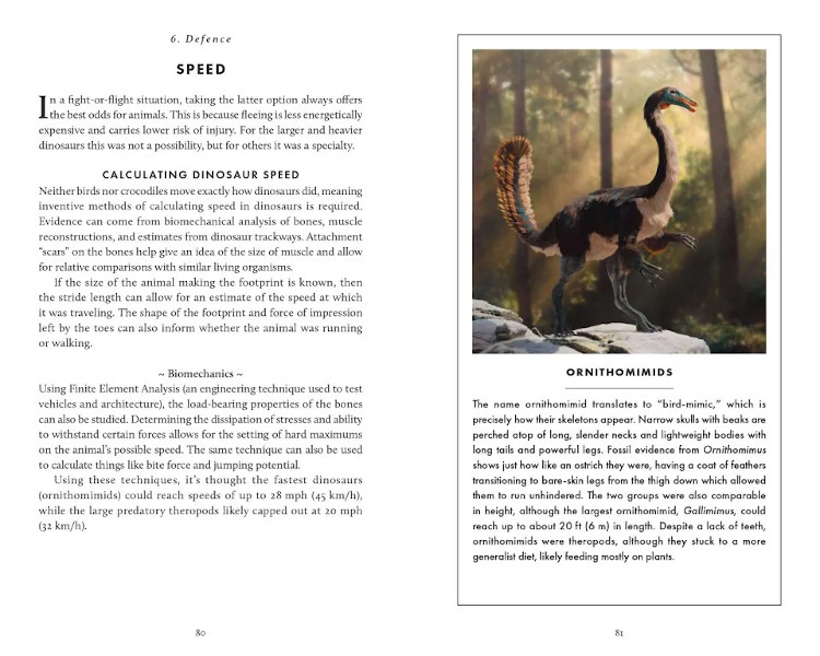 THE LITTLE BOOK OF DINOSAURS 4