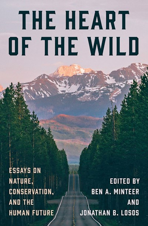 THE HEART OF THE WILD: ESSAYS ON NATURE, CONSERVATION, AND THE HUMAN FUTURE