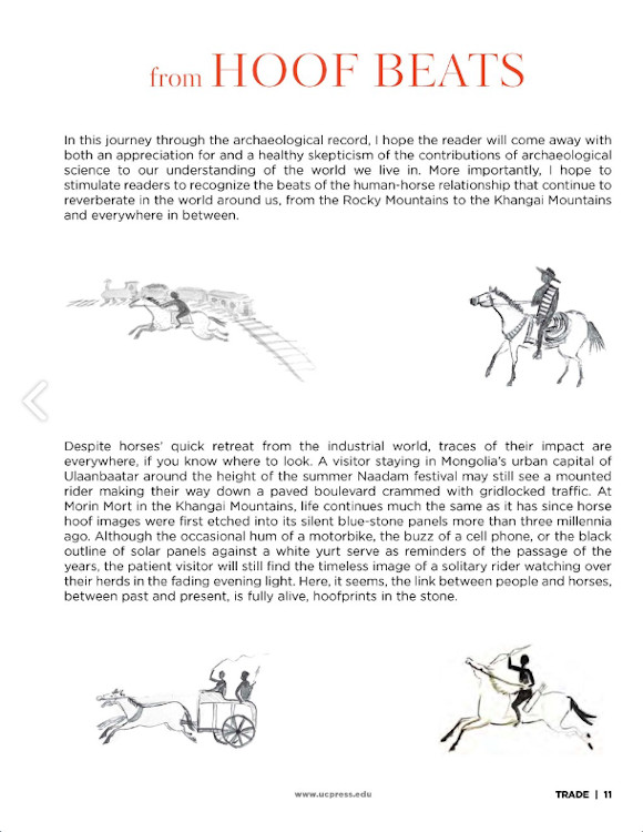 HOOF BEATS: HOW HORSES SHAPED HUMAN HISTORY 2