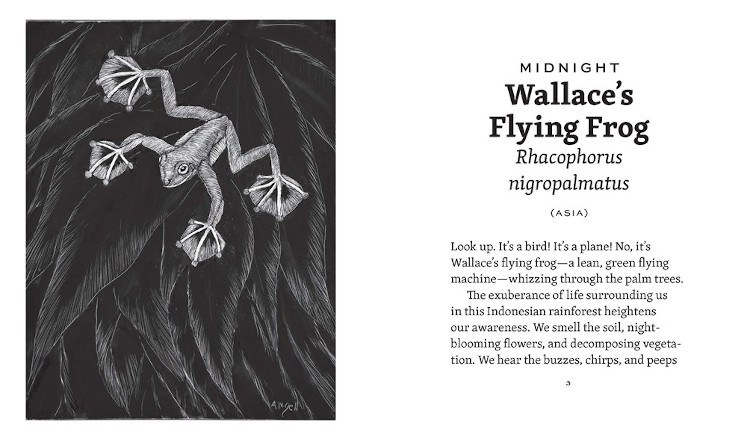 FROG DAY: A STORY OF 24 HOURS AND 24 AMPHIBIAN LIVES 2