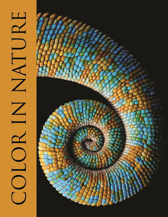 COLOR IN NATURE