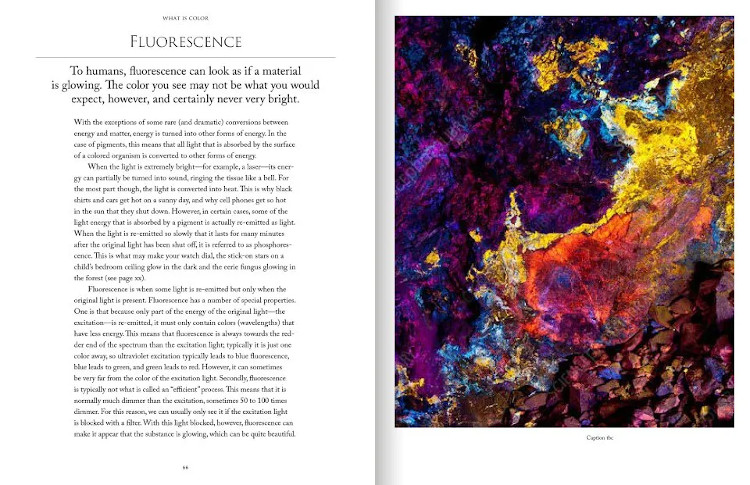 COLOR IN NATURE 3