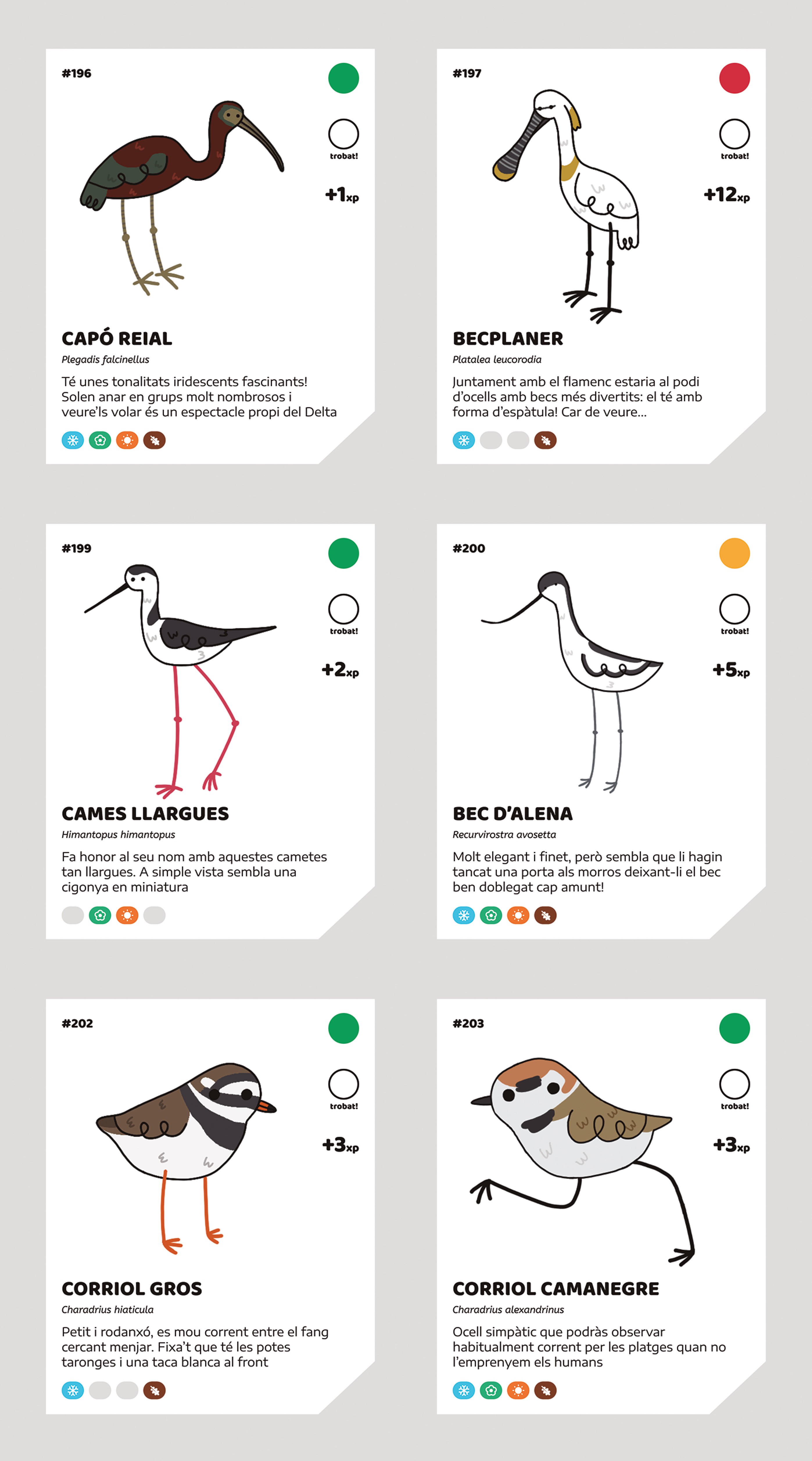 EXPLORANT EL MAPA. DELTA DE L'EBRE 2