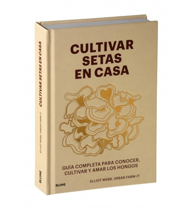 CULTIVAR SETAS EN CASA