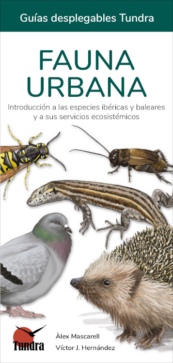 FAUNA URBANA. INTRODUCCIÓ A LES ESPÈCIES IBÈRIQUES I BALEARS I ELS SEUS SERVEIS ECOSISTÈMICS. GUIES DESPLEGABLES TUNDRA 1