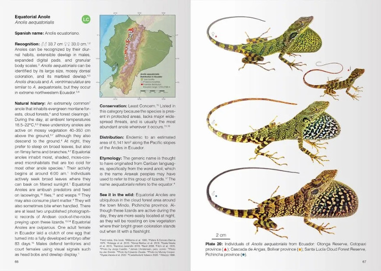 REPTILES OF ECUADOR. LIFE IN THE MIDDLE OF THE WORLD 2