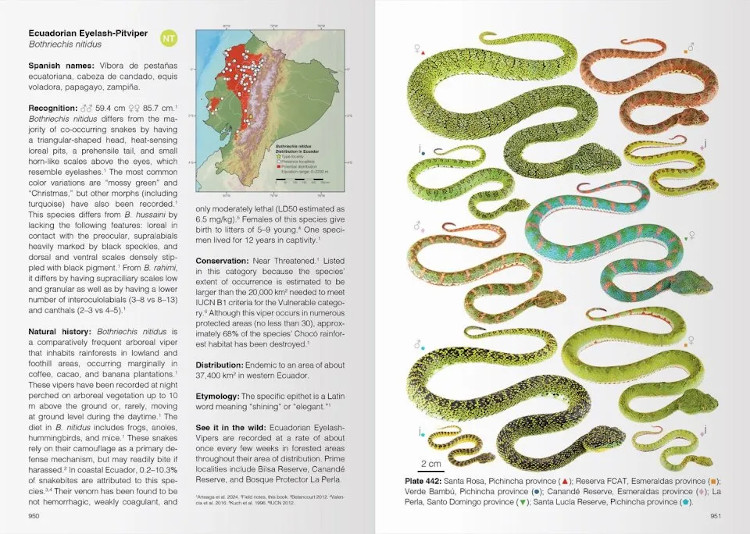 REPTILES OF ECUADOR. LIFE IN THE MIDDLE OF THE WORLD 3