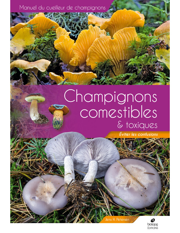CHAMPIGNONS COMESTIBLES ET TOXIQUES 1