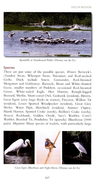 A BIRDWATCHING GUIDE TO THE NETHERLANDS 2