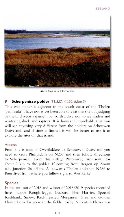A BIRDWATCHING GUIDE TO THE NETHERLANDS 3