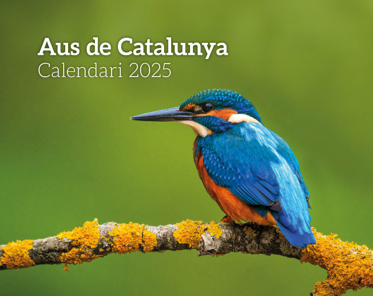 CALENDARI EFADÓS 2025 AUS DE CATALUNYA 1