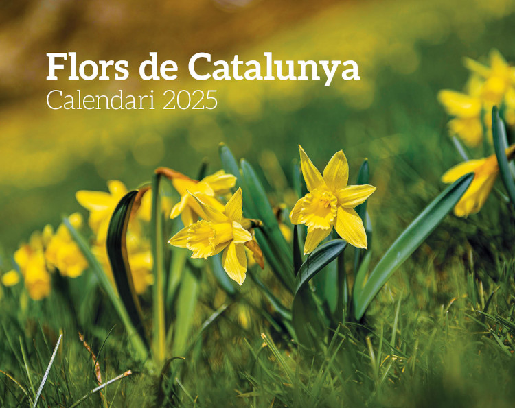 CALENDARI EFADÓS 2025 FLORS DE CATALUNYA 1