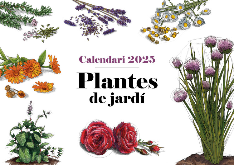 CALENDARI EFADÓS 2025 PLANTES DE JARDÍ 1