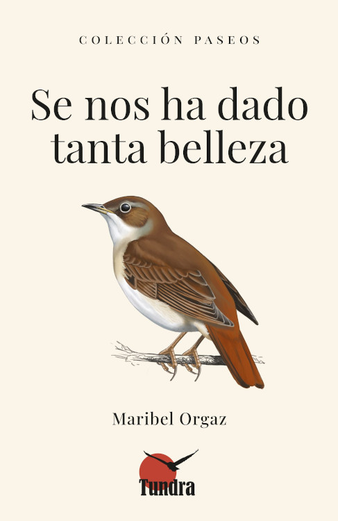 SE NOS HA DADO TANTA BELLEZA. COLECCIÓN PASEOS 1