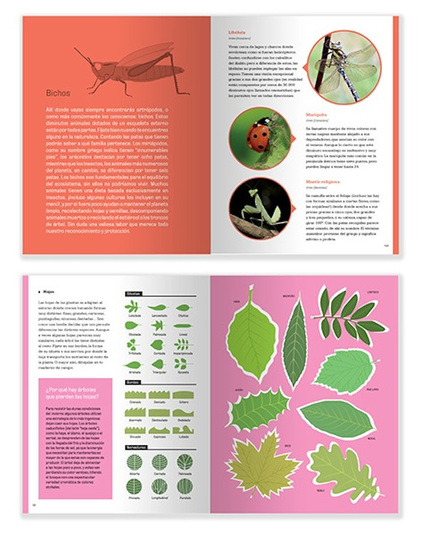 MANUAL PARA PEQUEÑOS MONTAÑEROS 3