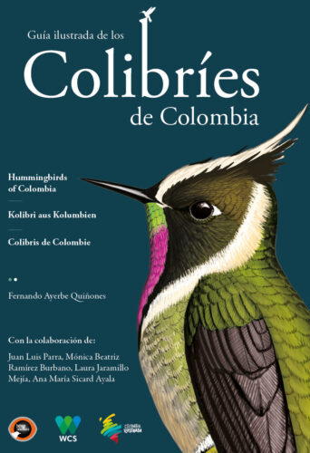COLIBRIES DE COLOMBIA