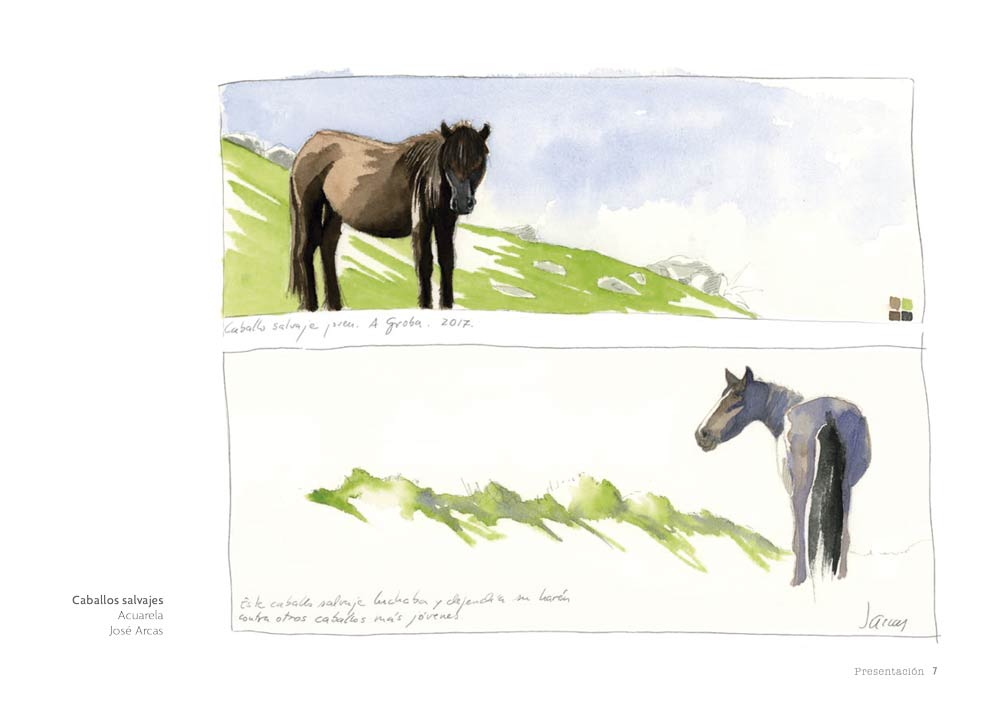 CUADERNO DE CAMPO. APRENDE DIBUJANDO 4