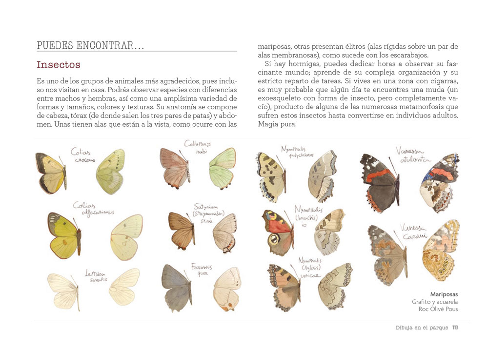 CUADERNO DE CAMPO. APRENDE DIBUJANDO 7