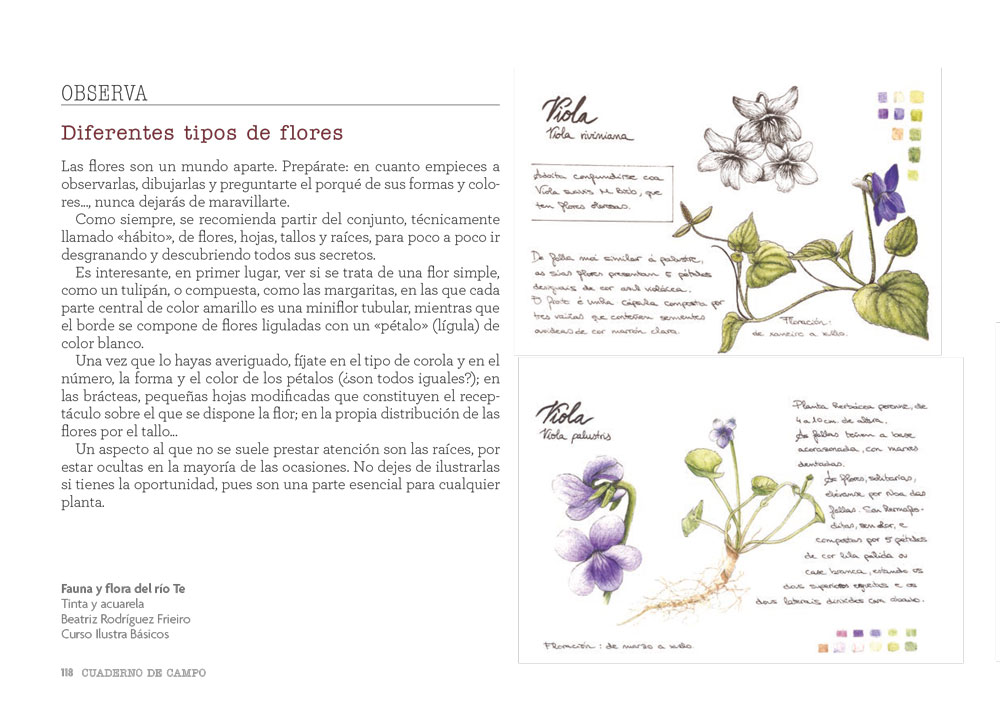 CUADERNO DE CAMPO. APRENDE DIBUJANDO 8