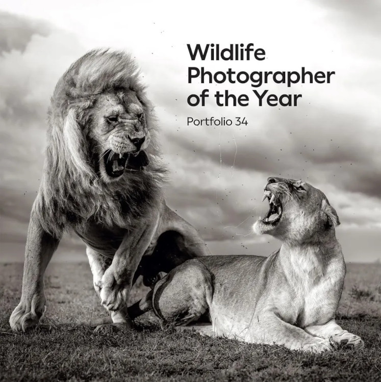 WILDLIFE PHOTOGRAPHER OF THE YEAR. PORTFOLIO 34