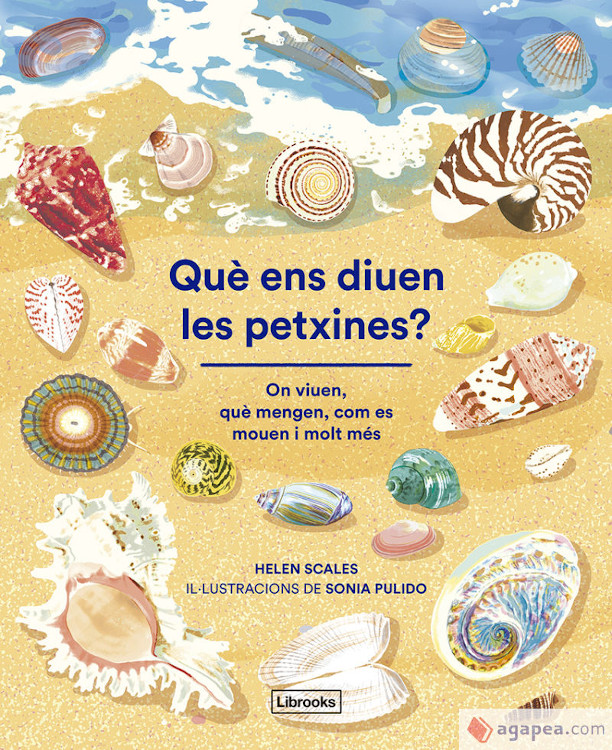 QUÈ ENS DIUEN LES PETXINES? 1