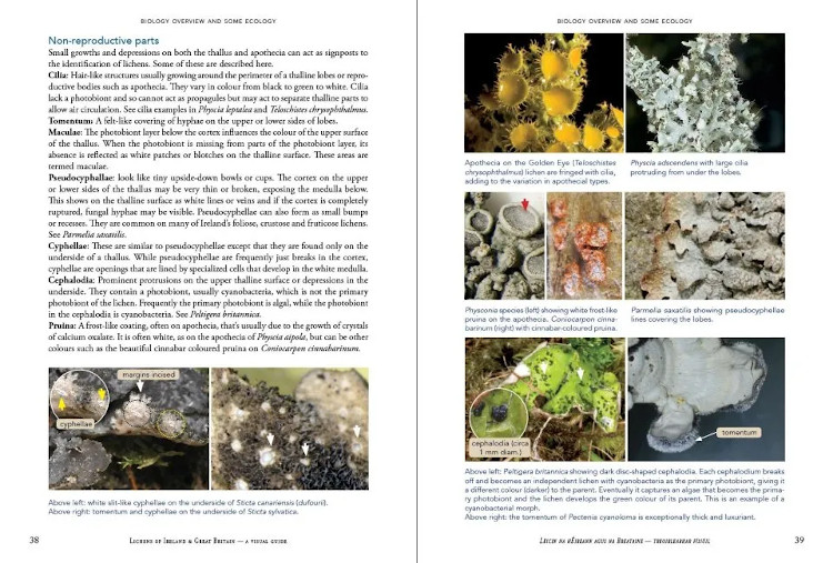LICHENS OF IRELAND & GREAT BRITAIN: A VISUAL GUIDE TO THEIR IDENTIFICATION (2 VOLUME SET) 2