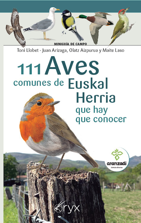 111 AVES COMUNES DE EUSKAL HERRIA QUE HAY QUE CONOCER. MINIGUÍA DE CAMPO 1