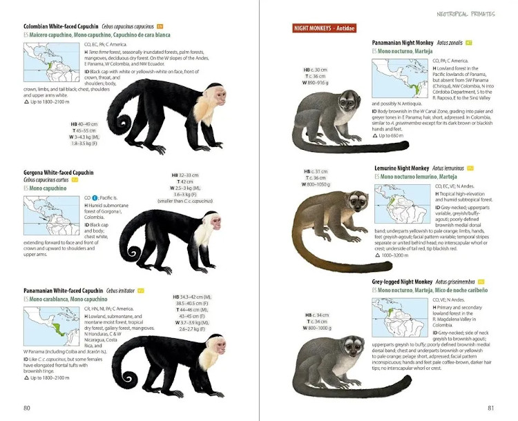 NEOTROPICAL PRIMATES 3