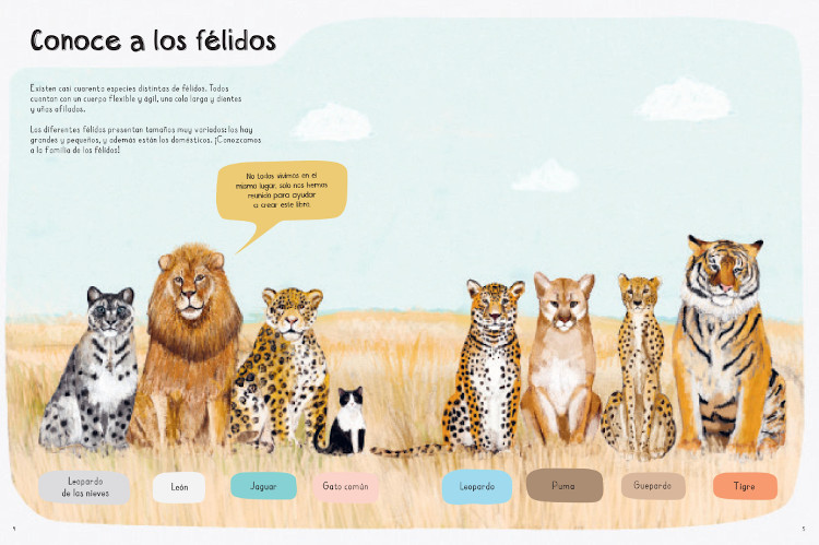 UN LIBRO DE GATOS 2