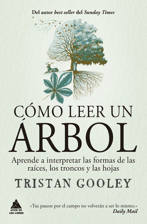 CÓMO LEER UN ÁRBOL. APRENDE A INTERPRETAR LAS FORMAS DE LAS RAÍCES, LOS TRONCOS Y LAS HOJAS 1