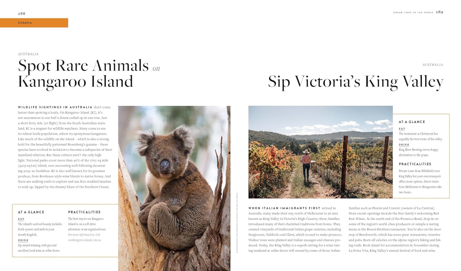 DREAM TRIPS OF THE WORLD 5