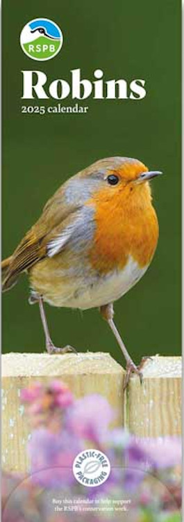 CALENDARIO ALARGADO PETIRROJO RSPB ROBIN CALENDAR 2025