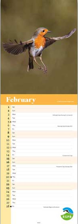 CALENDARIO ALARGADO PETIRROJO RSPB ROBIN CALENDAR 2025 2