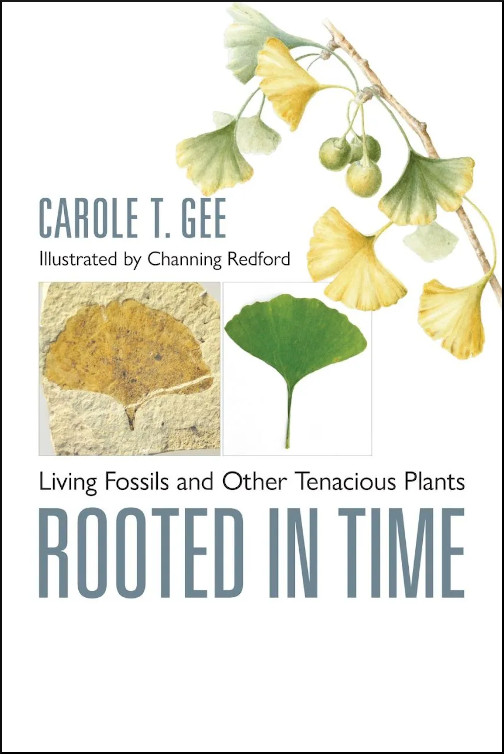 ROOTED IN TIME. LIVING FOSSILS AND OTHER TENACIOUS PLANTS 1