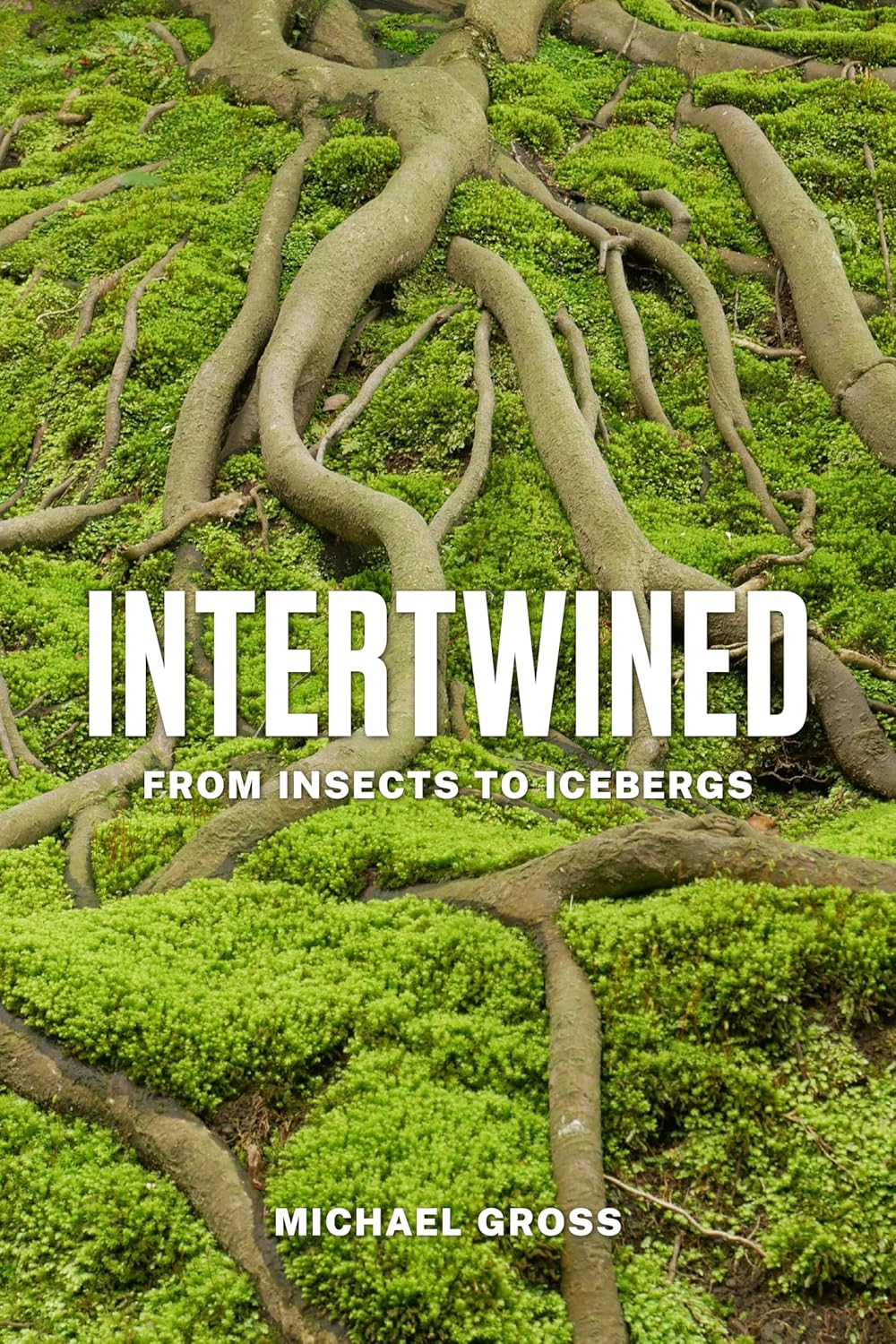 INTERTWINED. FROM INSECTS TO ICEBERGS 1
