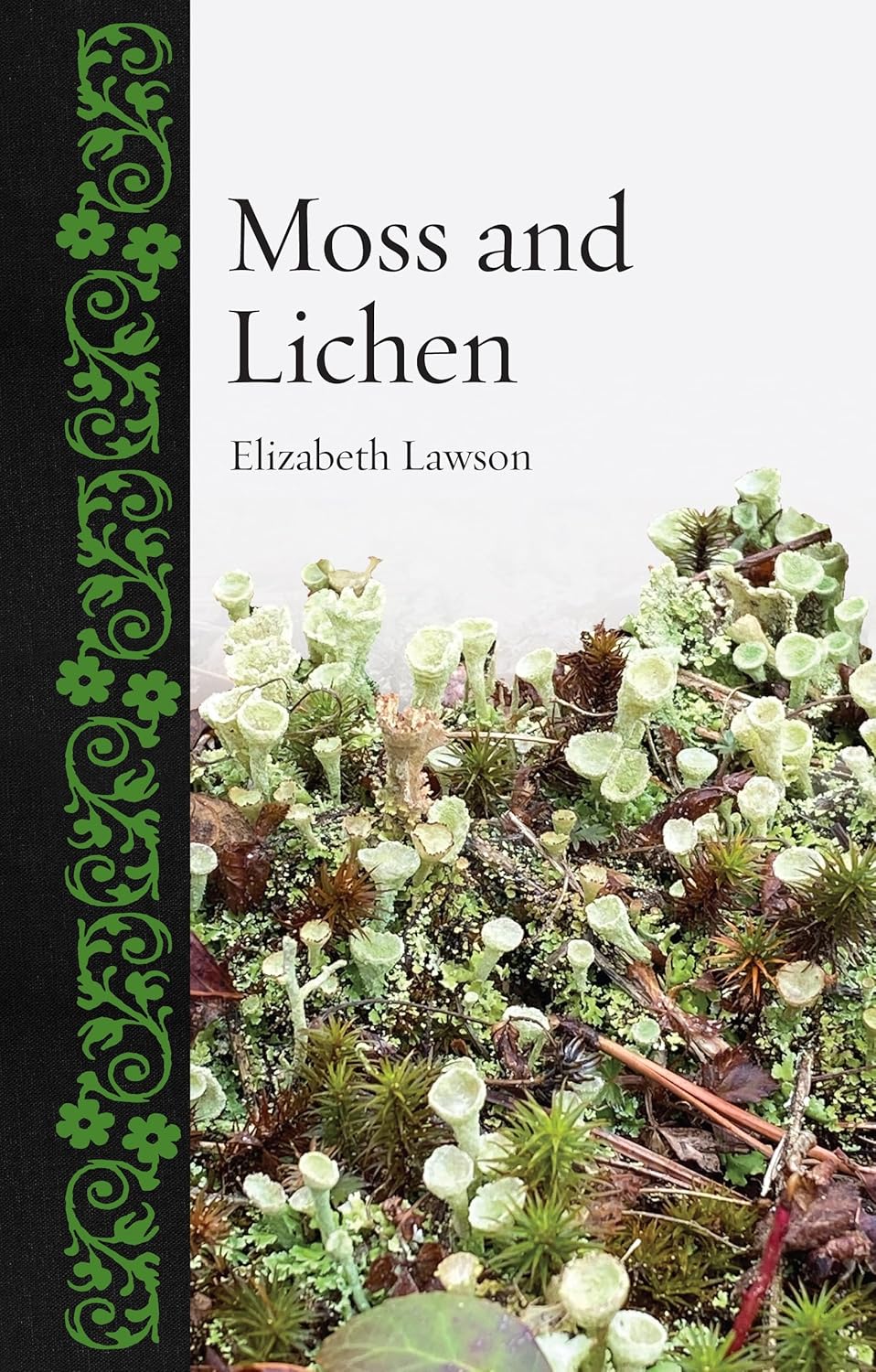 MOSS AND LICHEN
