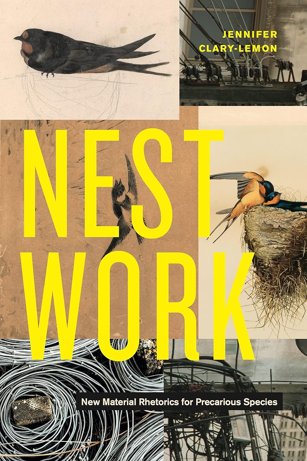 NESTWORK. NEW MATERIAL RHETORICS FOR PRECARIOUS SPECIES