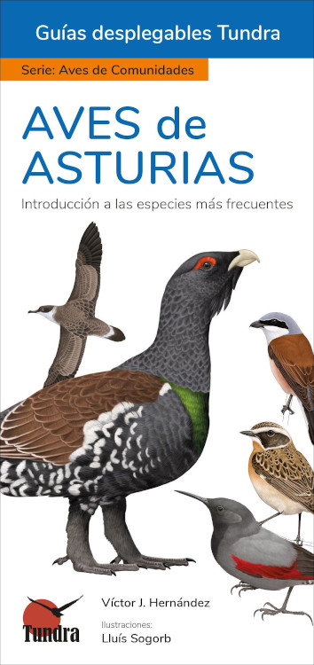 AVES DE ASTURIAS. INTRODUCCIÓN A LAS ESPECIES MÁS FRECUENTES. GUÍAS DESPLEGABLES TUNDRA