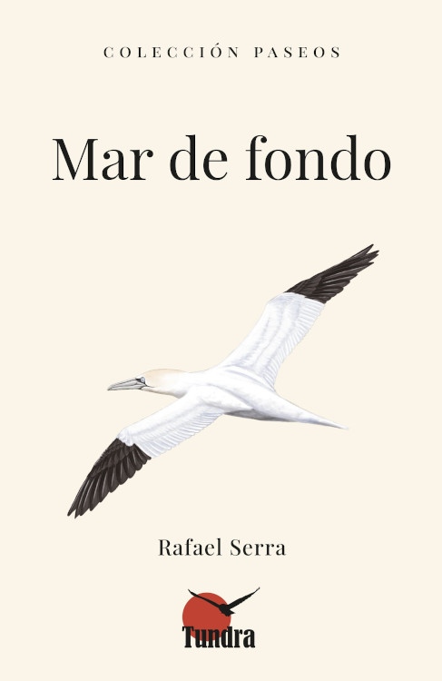 MAR DE FONDO. COLECCIÓN PASEOS 1
