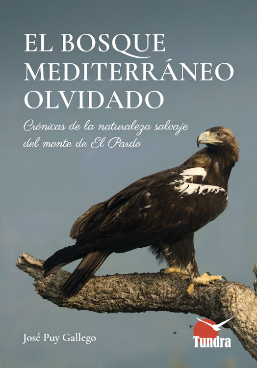 EL BOSQUE MEDITERRÁNEO OLVIDADO. CRÓNICAS DE LA NATURALEZA SALVAJE DEL MONTE DE EL PARDO 1