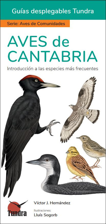 AVES DE CANTABRIA. INTRODUCCIÓN A LAS ESPECIES MÁS FRECUENTES. GUÍAS DESPLEGABLES TUNDRA