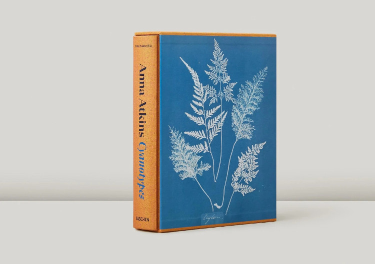 ANNA ATKINS. CYANOTYPES