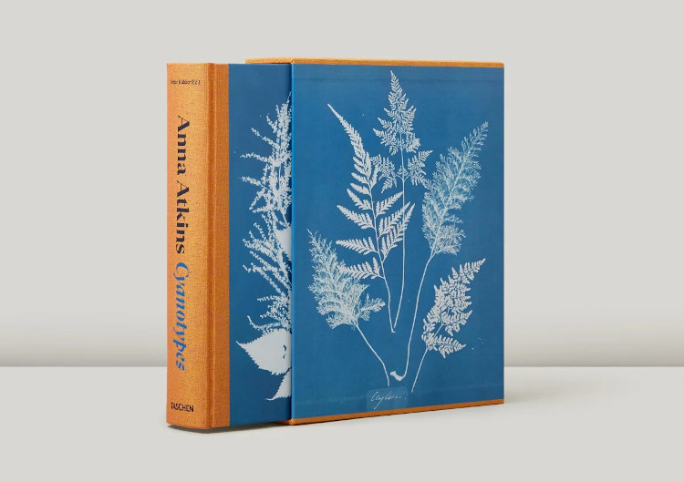 ANNA ATKINS. CYANOTYPES 2