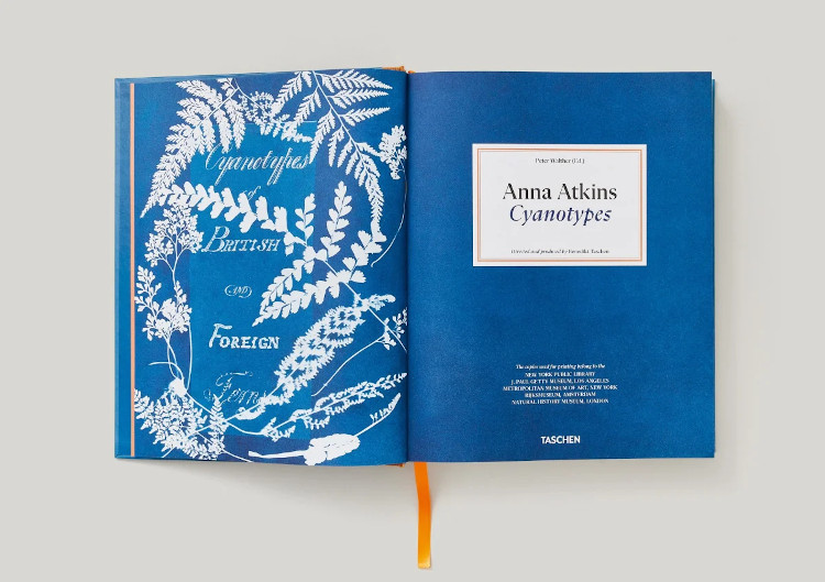 ANNA ATKINS. CYANOTYPES 4